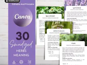 Herb Smudge Cards -A close-up image of a smudge card with a picture of a lavender plant on it. The card is titled "Lavender" and has a description of the plant's spiritual meaning.