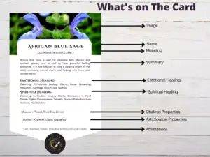 30 Herb Smudge Cards - Instant Download - Canva Template 4 il 1140xn4702502623 r10k 65ee61e2f1038 30 Herb Smudge Cards - Spiritual | Smudging Cards, Smudging Prayer Cards & Smudging Instructions, and Smudging Guide, Energy Cleansing Kit