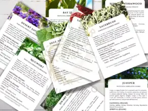 30 Herb Smudge Cards - Instant Download - Canva Template 2 A photo of a box containing 30 herb smudge cards. The cards are made of high-quality cardstock and feature beautiful illustrations of various herbs. The box also includes a smudging guide and instructions.