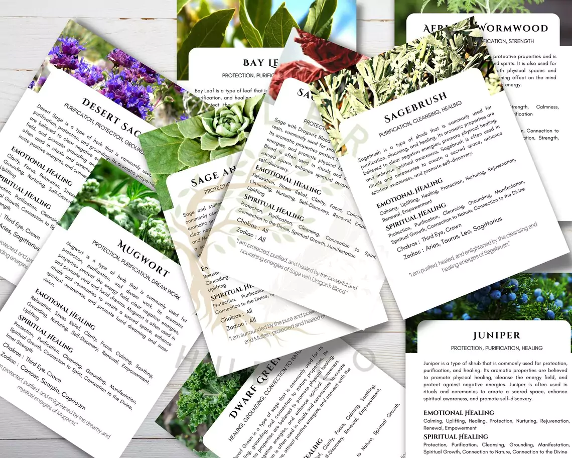 30 Herb Smudge Cards – Spiritual | Smudging Cards, Smudging Prayer Cards & Smudging Instructions, and Smudging Guide, Energy Cleansing Kit A photo of a box containing 30 herb smudge cards. The cards are made of high-quality cardstock and feature beautiful illustrations of various herbs. The box also includes a smudging guide and instructions.
