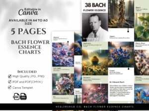 Bach Flower Essence Charts With Images