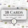 Bach Flower Remedy Cards 1080 - Healing Traits Reference- Printable PDF | Canva Template | Social media post - Emotional Balance