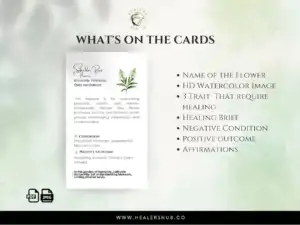 A clear layout displaying the contents of an Australian Bush Flower Essences card, including the flower name, image, traits, healing brief, and more