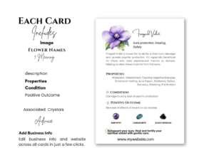 A close-up of an Australian Bush Flower Essence business card template featuring Fringed Violet, with details about its properties and uses.