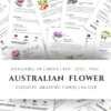 Set of Australian Bush Flower Essence cards for emotional healing, featuring flower names, meanings, and affirmations