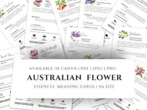 Set of Australian Bush Flower Essence cards for emotional healing, featuring flower names, meanings, and affirmations