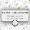 Australian Bush Flower Essences cards spread out, displaying a variety of healing flowers and their descriptions