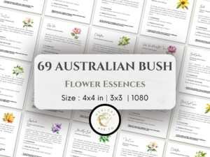 Australian Bush Flower Essences cards spread out, displaying a variety of healing flowers and their descriptions
