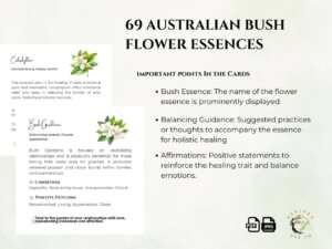 69 Australian Bush Flower Essences 1080 size Card Templates 3 Australian Bush Flower Essences Business Cards, highlighting essential elements like the flower's name and balancing guidance.